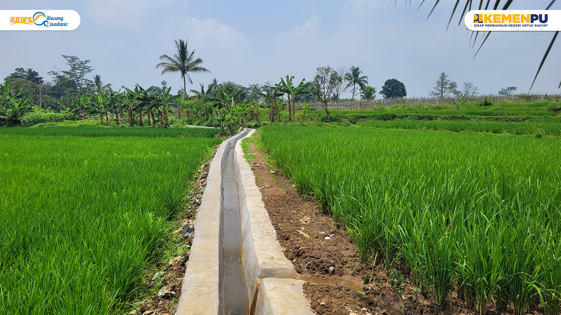 Monitoring dan Evaluasi P3-TGAI Dukung Produktifitas Pertanian di Desa Situ Ilir