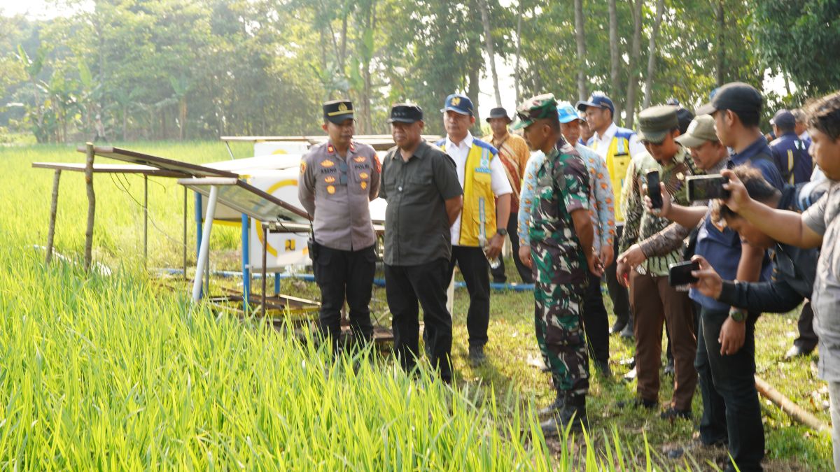 Pompa Tenaga Surya Bantu Alirkan Air ke Sawah Leuweunghapit