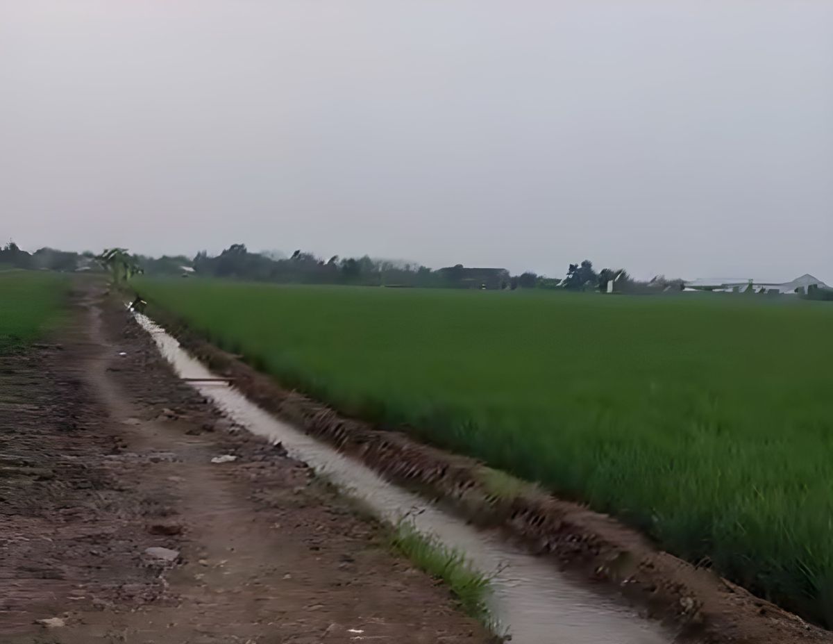 Air Mencapai Hilir Rentang, Petani Karangmulya Kembali Mengolah Sawah