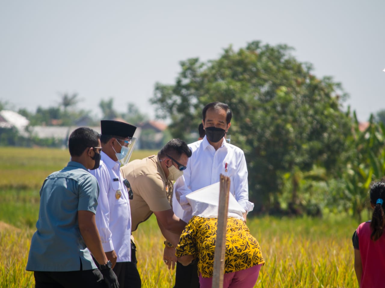 kunjungan presiden ri dekat proyek modernisasi jaringan irigasi rentang kabupaten indramayu