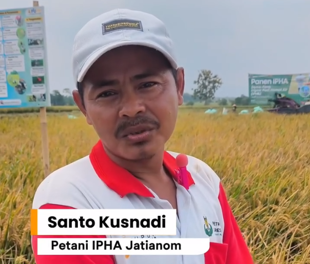 Program IPHA di Desa Jatianom: Efisiensi Air, Produktivitas Petani Meningkat