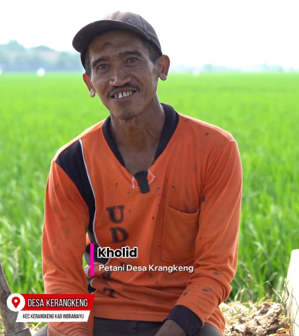 Harapan Baru Petani Krangkeng: Pembangunan Irigasi Tersier Dorong Produktivitas Pertanian Indramayu
