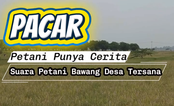 Irigasi Terpadu Dorong Produktivitas Petani Bawang di Desa Tersana