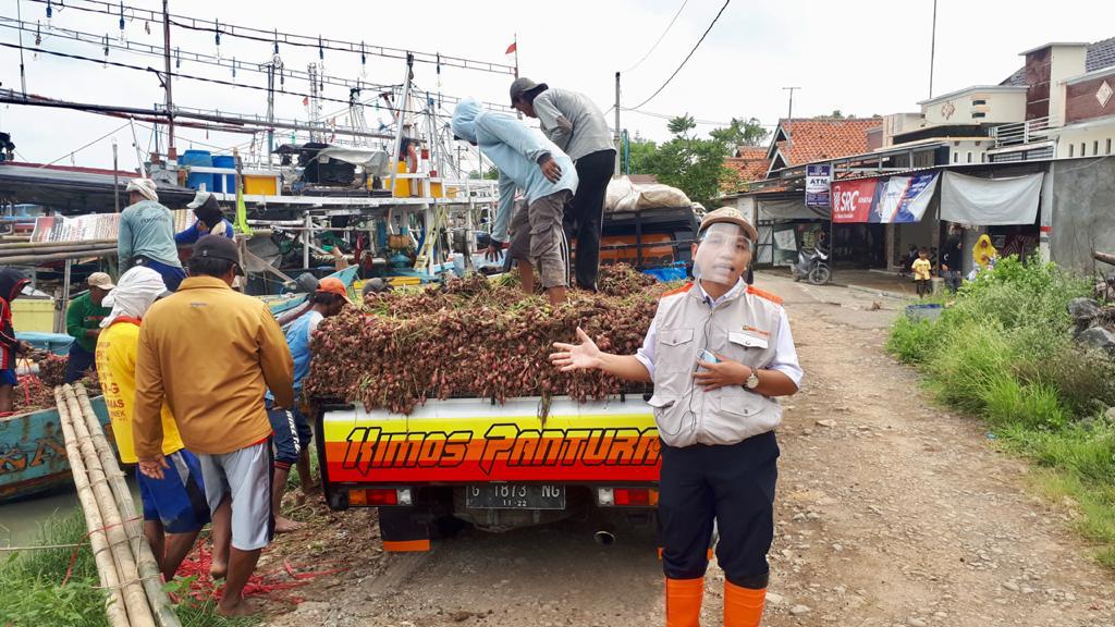 TUTUP TANGGUL KRITIS DI DESA KRAKAHAN KECAMATAN TANJUNG, TIM SIGAB BBWS CIMANUK CISANGGARUNG SELAMATKAN PULUHAN HEKTARE LAHAN BAWANG MERAH, CABAI DAN TAMBAK.