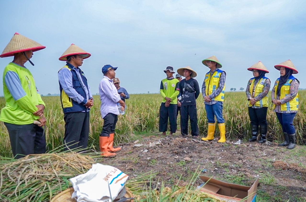 Dari Kemandirian Mengelola Irigasi Menuju   Kemandirian Pangan Nasional