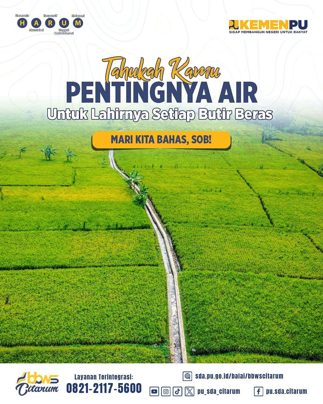 Pentingnya Air untuk Lahirnya Satu Butir Beras