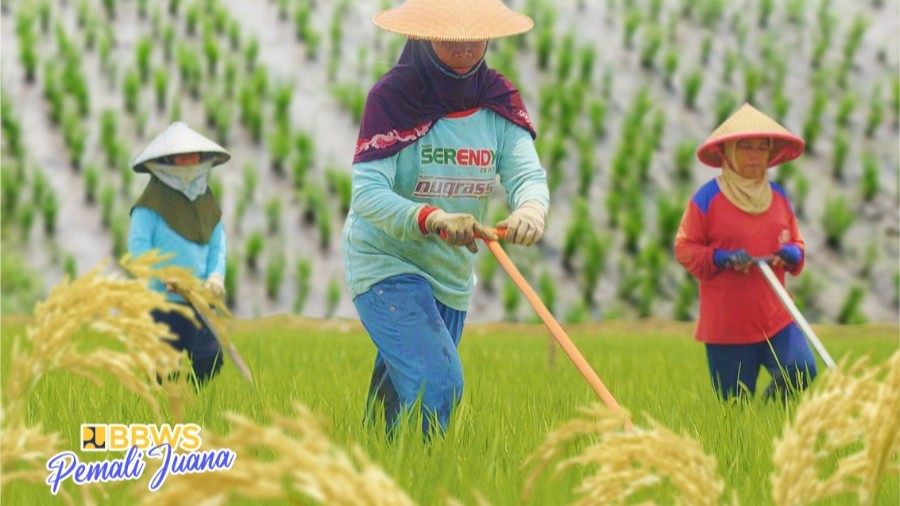Ini Dia Yang Dibutuhkan Petani : Hadirnya Sumur JIAT Swasembada Pangan Meningkat