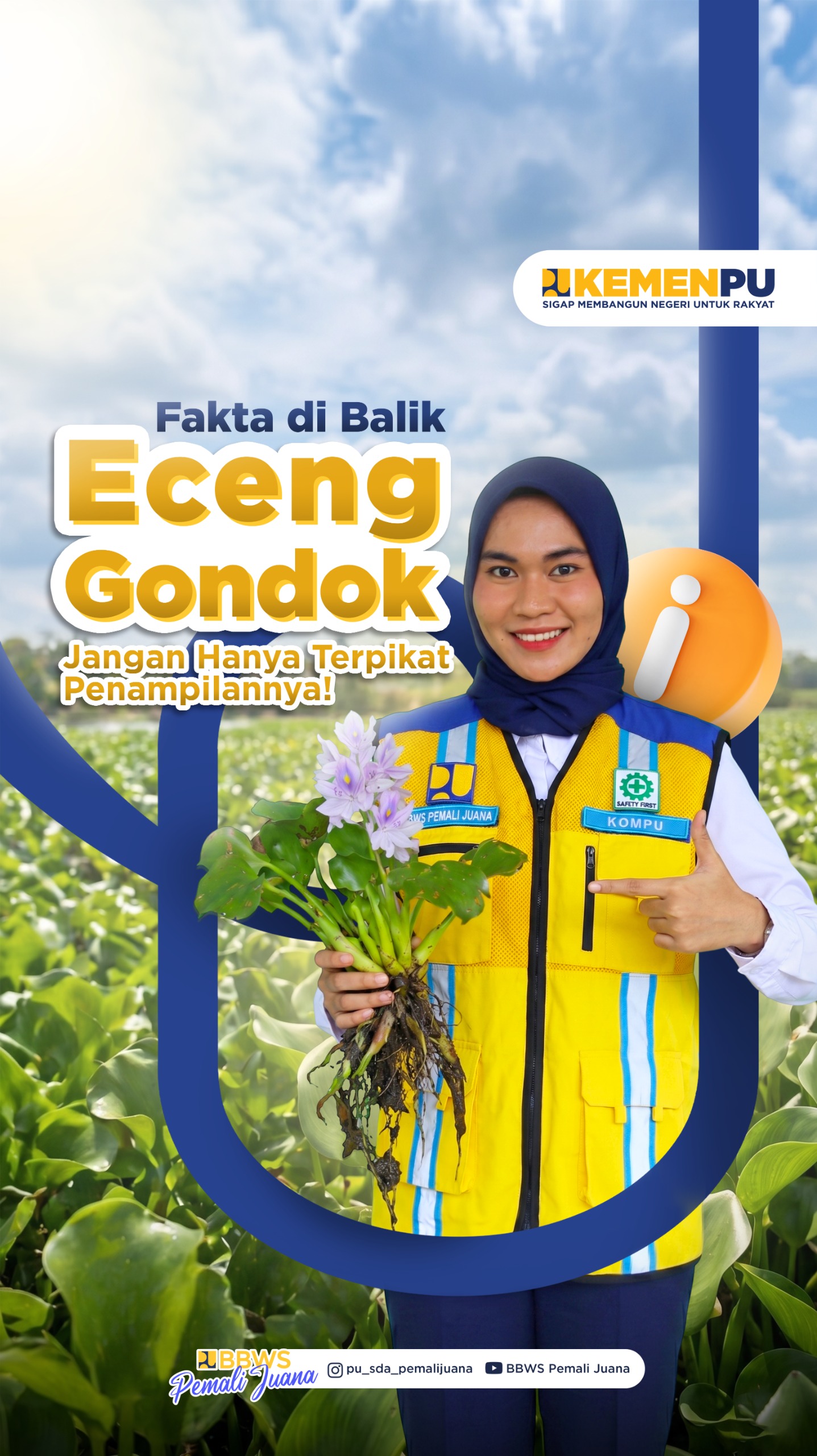 Fakta Dibalik Eceng Gondok