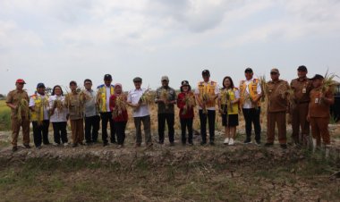 Kementerian PUPR Dukung Pengembangan Food Estate Menjadi Lumbung Pangan di Kalteng