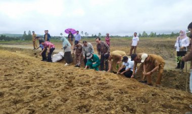 Kementerian PUPR Bangun Infrastruktur Food Estate di Humbahas, Dukung Lumbung Pangan Nasional