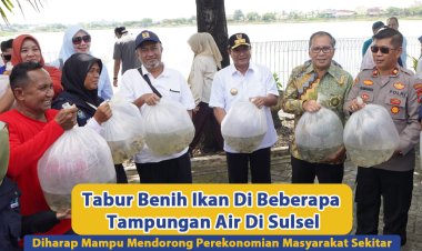 Tabur Benih Ikan Pada Beberapa Tampungan Air Di Sulsel, Diharap Mampu Mendorong Perekonomian Masyarakat Sekitar