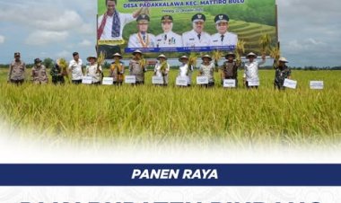 Panen Raya di Kabupaten Pinrang