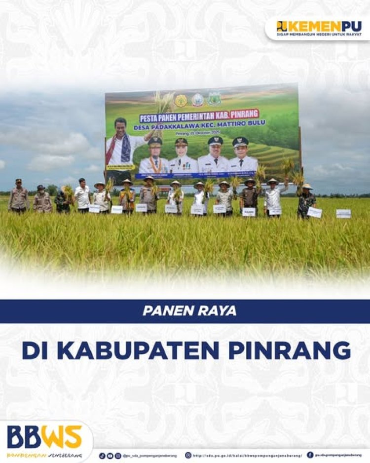 Panen Raya di Kabupaten Pinrang