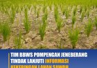 Tim BBWS Pompengan jeneberang Tindak Lanjuti Informasi Kekeringan Lahan Sawa di Kab. Gowa