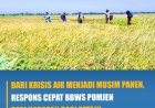 Dari Krisis Air Menjadi Musim Panen, Respons Cepat BBWS POMJEN Beri Harapan Petani