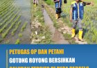 Petugas OP dan Petani Gotong Royong Bersihkan Saluran Tersier di Desa Padaelo