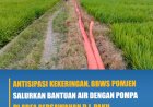 Antisipasi Kekeringan, BBWS Pomjen Salurkan Bantuan Air Dengan Pompa Di Area Persawahan D.I Paku