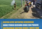 Respon Cepat Antisipasi Kekeringan BBWS POMJEN Bersama Dinas SDA Pinrang Menyalurkan Bantuan Irigasi Water Tank di Wilayah UPT Pekabata D.I Saddang
