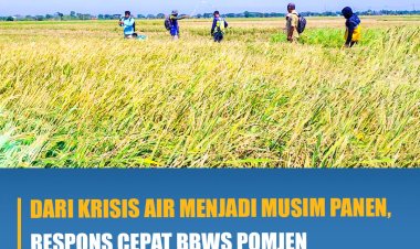 Dari Krisis Air Menjadi Musim Panen, Respons Cepat BBWS POMJEN Beri Harapan Petani