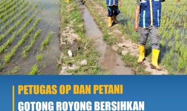 Petugas OP dan Petani Gotong Royong Bersihkan Saluran Tersier di Desa Padaelo