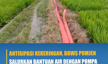 Antisipasi Kekeringan, BBWS Pomjen Salurkan Bantuan Air Dengan Pompa Di Area Persawahan D.I Paku