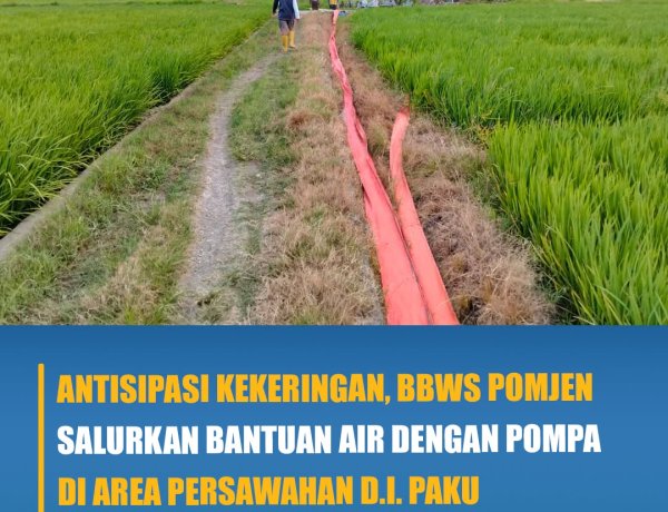Antisipasi Kekeringan, BBWS Pomjen Salurkan Bantuan Air Dengan Pompa Di Area Persawahan D.I Paku