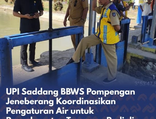 UPI Saddang BBWS Pompengan Jeneberang Koordinasikan Pengaturan Air Untuk Penyelamatan Tanaman Padi di Sidrap dan Wajo