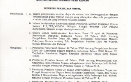 POLA WILAYAH SUNGAI BELAWAN ULAR PADANG