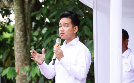 Tinjau Persawahan Di Kabupaten Langkat, Wapres Gibran Ingatkan Arahan Presiden Soal Wajib Swasembada Pangan