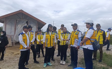 Wamen Diana Tinjau Kawasan Food Estate Humbang Hasundutan