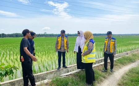 OPLAH Untuk Ketahanan Pangan, Kepala BBWS Sumatera II Medan Tinjau Bendung D.I. Sei Lepan