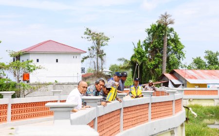 Revitalisasi Danau Siombak, Dorong Pengendalian Banjir dan Pengembangan Wisata
