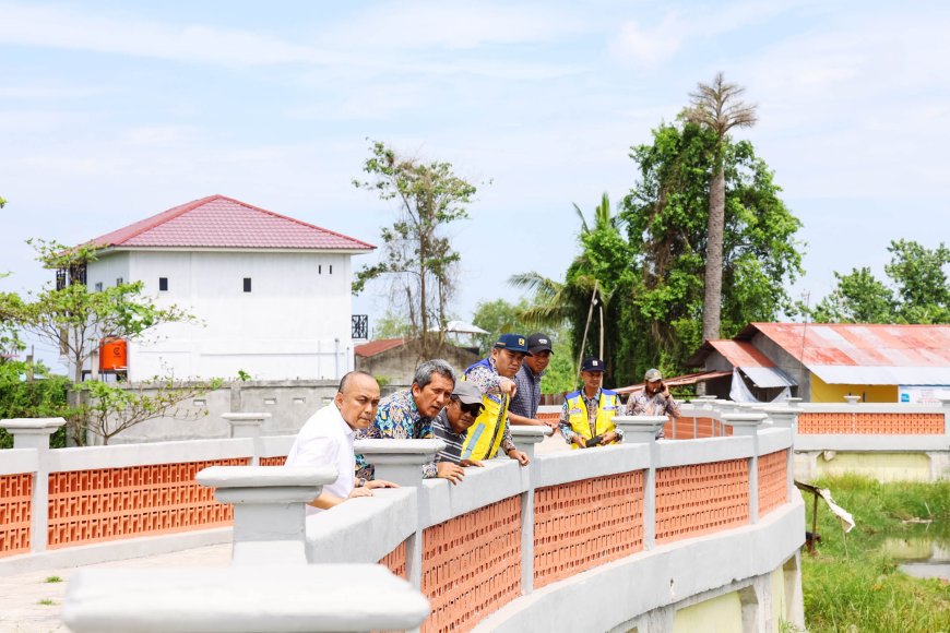 Revitalisasi Danau Siombak, Dorong Pengendalian Banjir dan Pengembangan Wisata