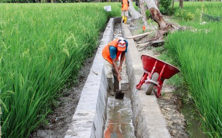 P3-TGAI di Kabupaten Asahan, Langkah Nyata Wujudkan Swasembada Pangan Nasional