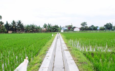 P3-TGAI di Kabupaten Deli Serdang: Perkuat Infrastruktur Irigasi dan Serap 960 Tenaga Kerja Lokal