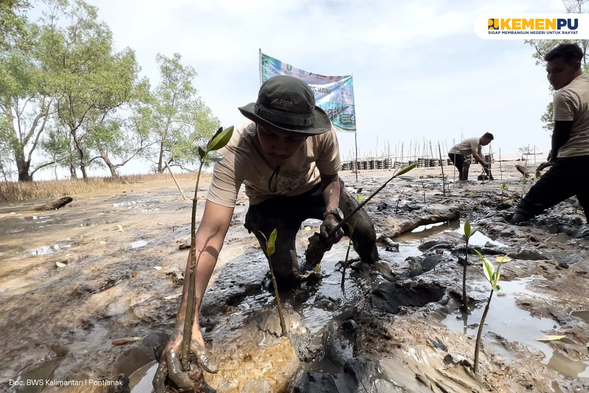 perkuat-perlindungan-kawasan-pesisir-bws-kalimantan-i-dukung-inovasi-perlindungan-pantai-dengan-teknologi-geo-mangrove-rb-5-dalam-momentum-hari-mangrove-sedunia-2026