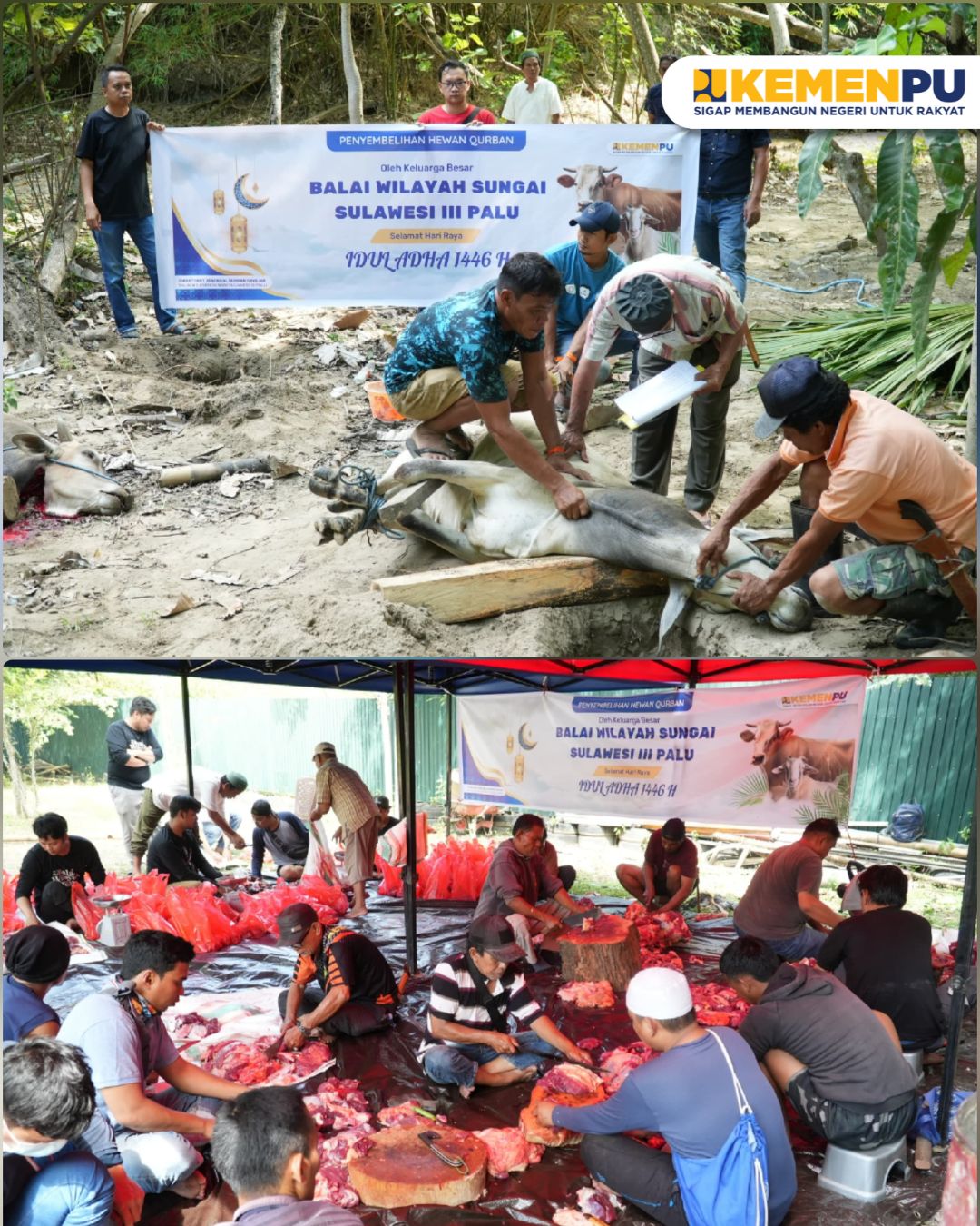 Balai Wilayah Sungai Sulawesi III Palu melaksanakan kegiatan penyembelihan hewan qurban sebagai bentuk rasa syukur dan kepedulian sosial.