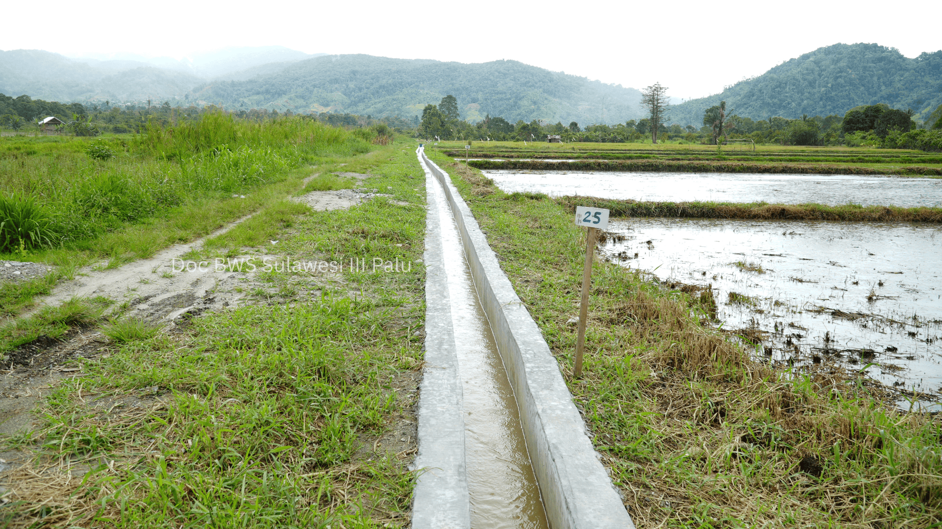 Monitoring Akhir P3-TGAI Tahap I di daerah Napu, Kabupaten Poso