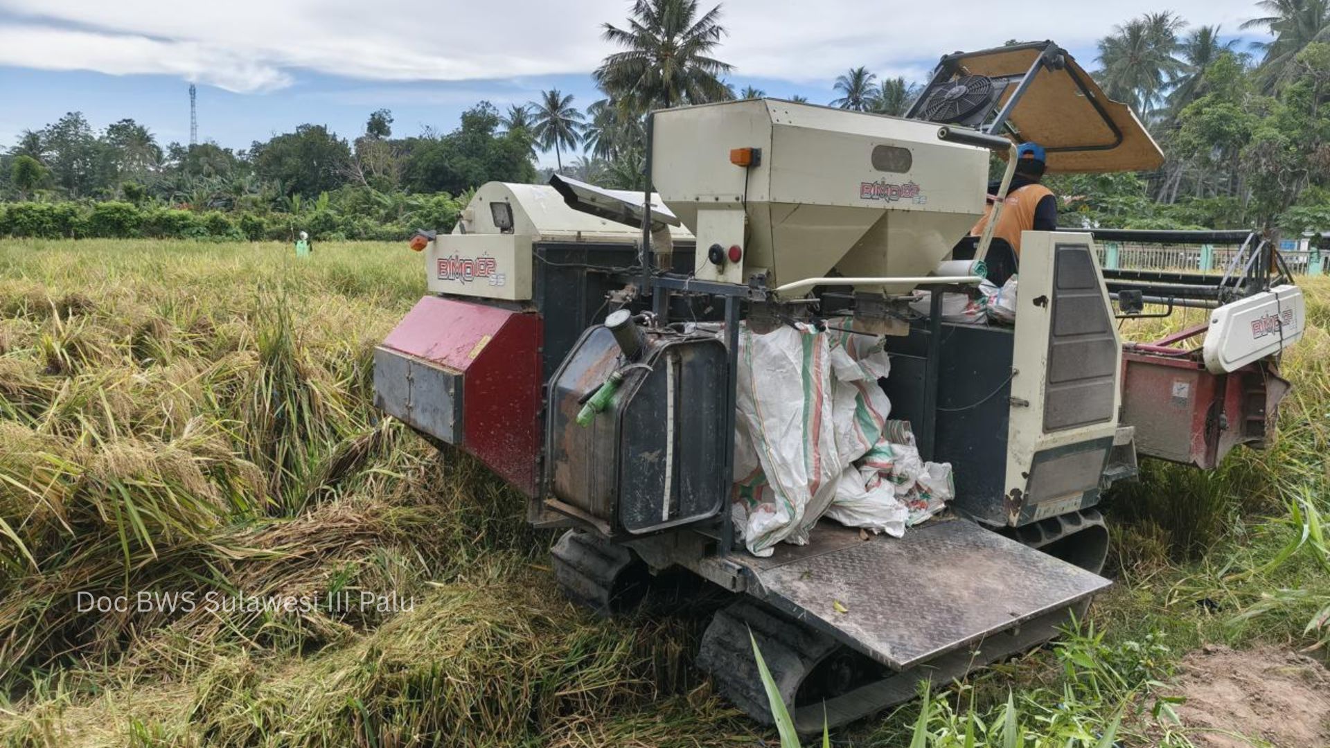 Sinergi KemenPU dan Kementan, BWS Sulawesi III Palu Dukung Gerakan Panen Padi di Sigi