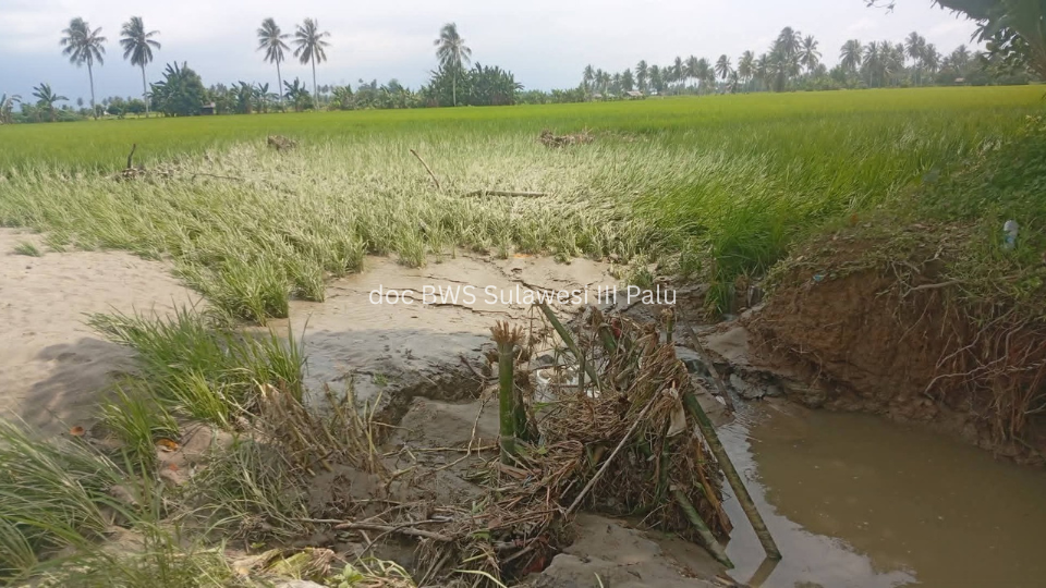 BWS Sulawesi III Palu dan Pemda Bergerak Cepat Tangani Dampak Banjir