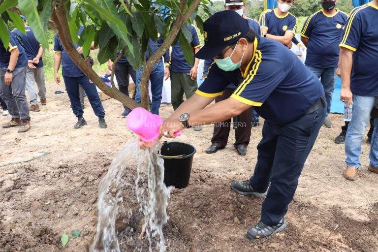 Kegiatan Penanaman Pohon dalam Rangka Memperingati Hari Bakti PU Ke-75