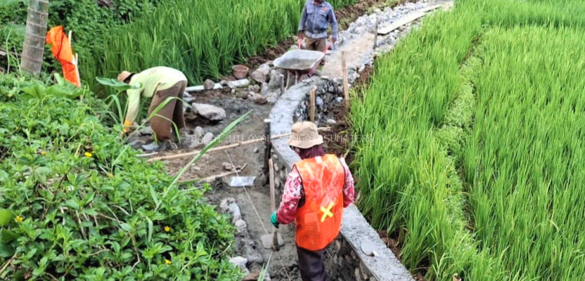 Rehabilitasi Jaringan Irigasi di Kerinci Dorong Produktivitas Pertanian